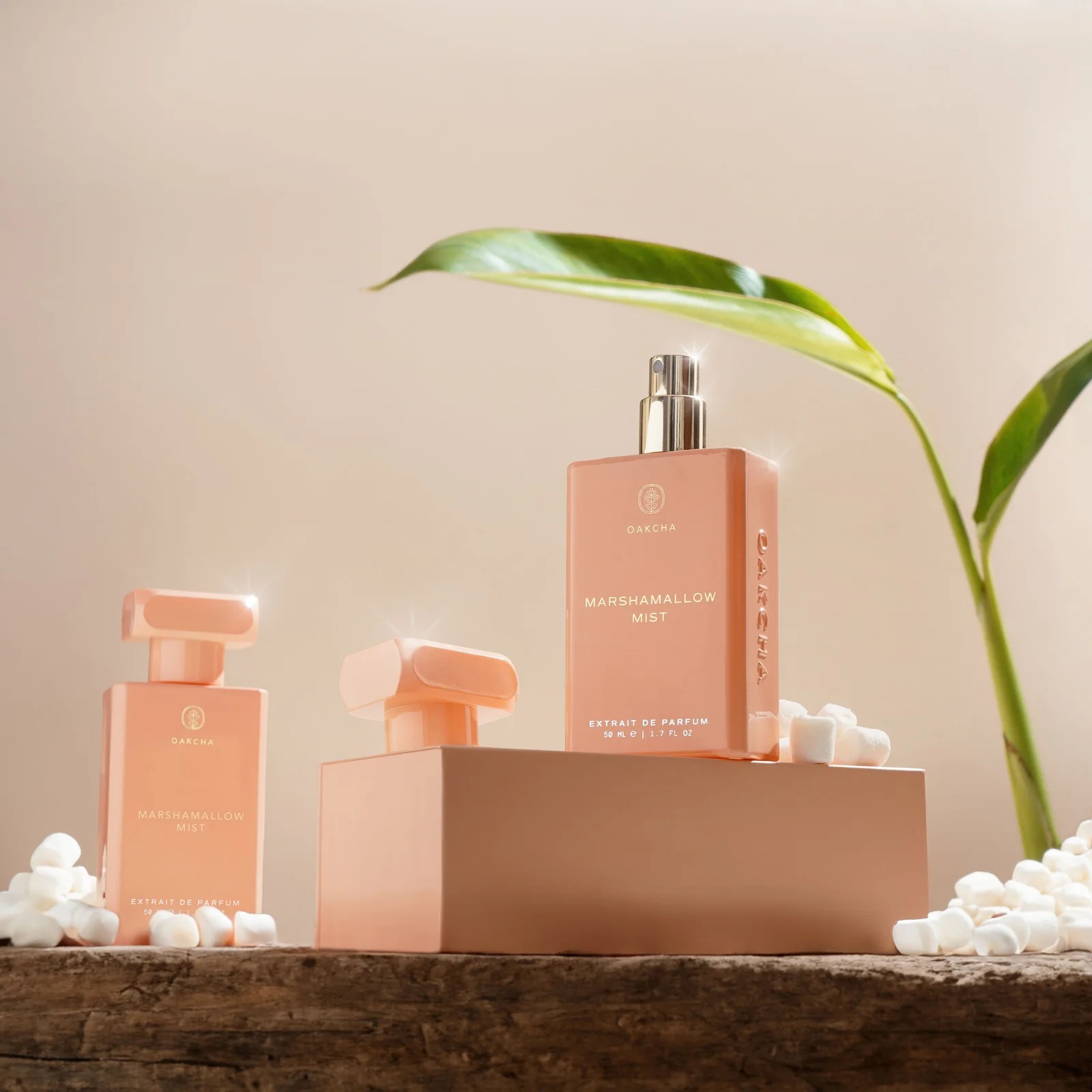 Oakcha Extrait De Parfum 50ml  - Luxury Lifestyle Aesthetic reseña y precio